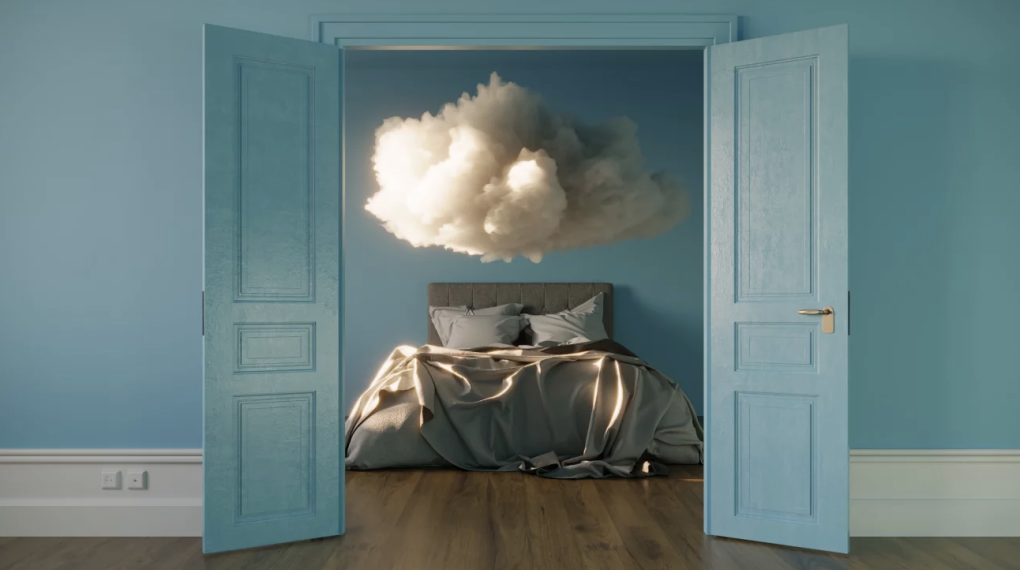 Why Do We Dream? A New Book Explains All