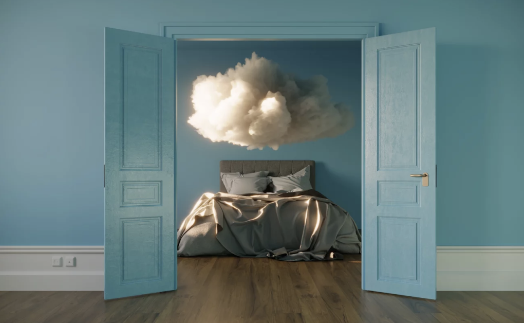 Why Do We Dream? A New Book Explains All