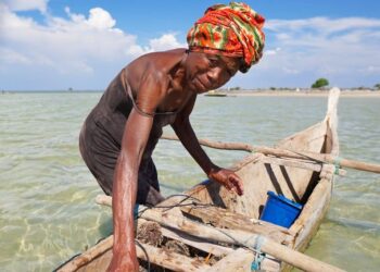 New Book Uplifts Coastal Voices