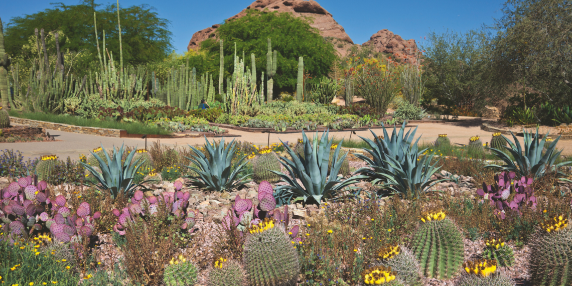 150 breathtaking gardens to see before you die — a new book recommends 150 breathtaking gardens to see before you die — a new book recommends
