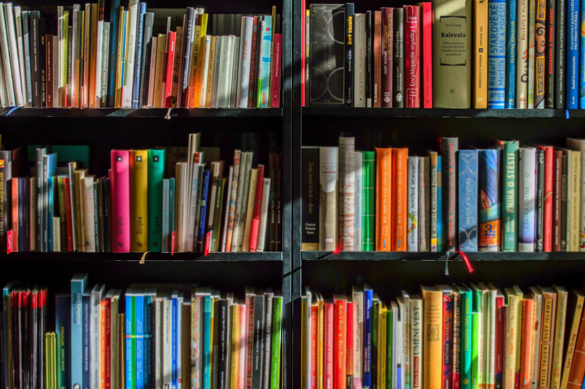 Delaware’s Imagination Library expands with bilingual books Delaware’s Imagination Library expands with bilingual books