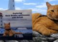 N.S. news: new book features lighthouse-loving feline N.S. news: new book features lighthouse-loving feline