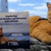 N.S. news: new book features lighthouse-loving feline
