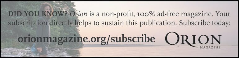 Subscribe to Orion Ad