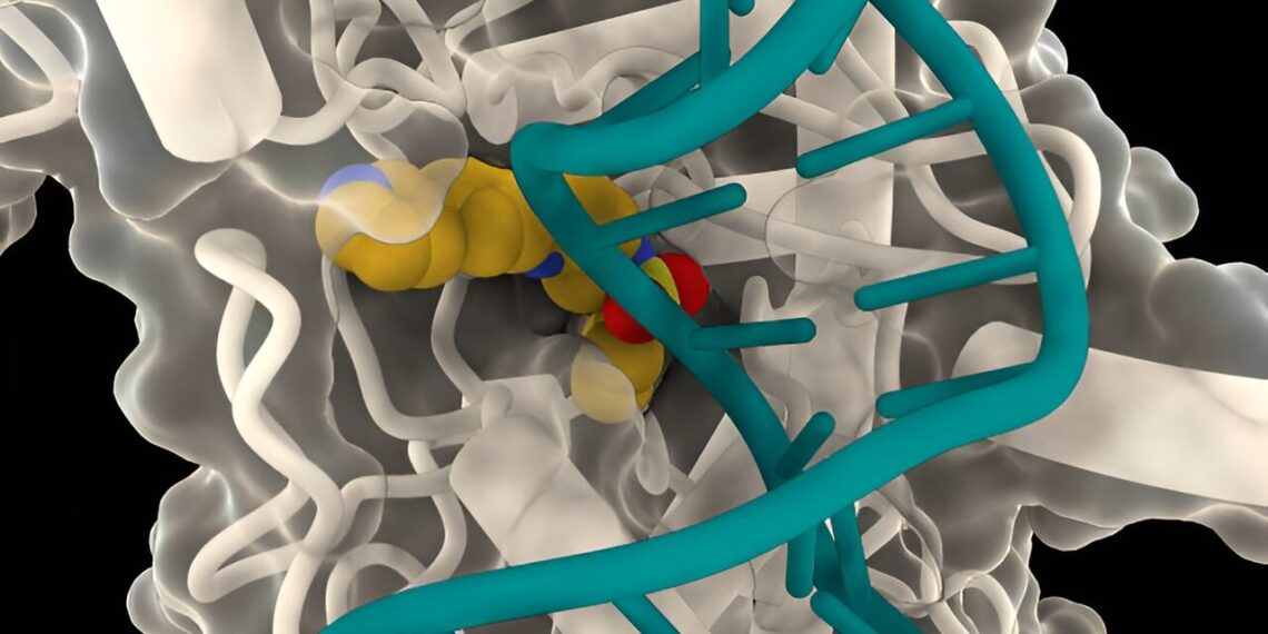 Old drugs new tricks—novel approach shows ‘enormous potential’ for rapid antibiotic discovery
