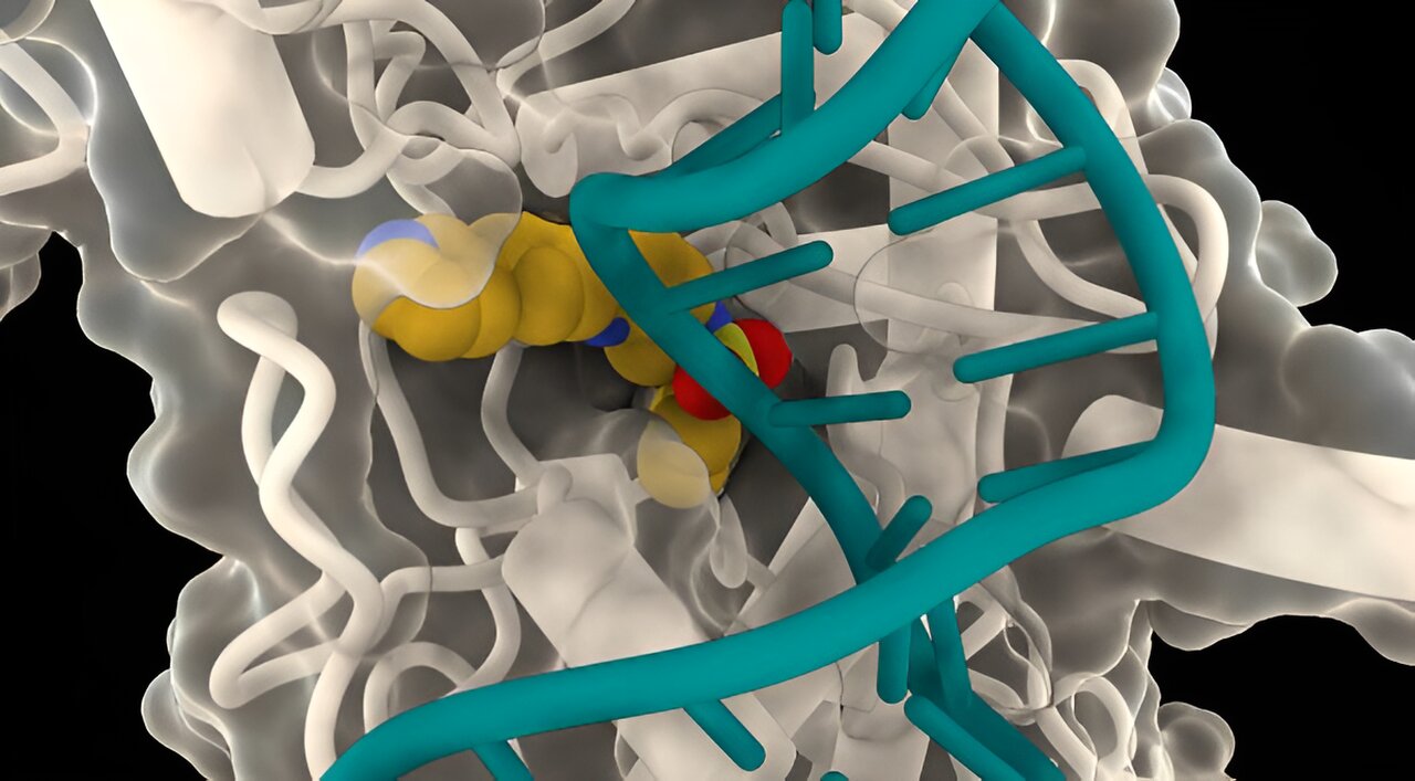 Old drugs new tricks—novel approach shows ‘enormous potential’ for rapid antibiotic discovery Old drugs new tricks—novel approach shows ‘enormous potential’ for rapid antibiotic discovery