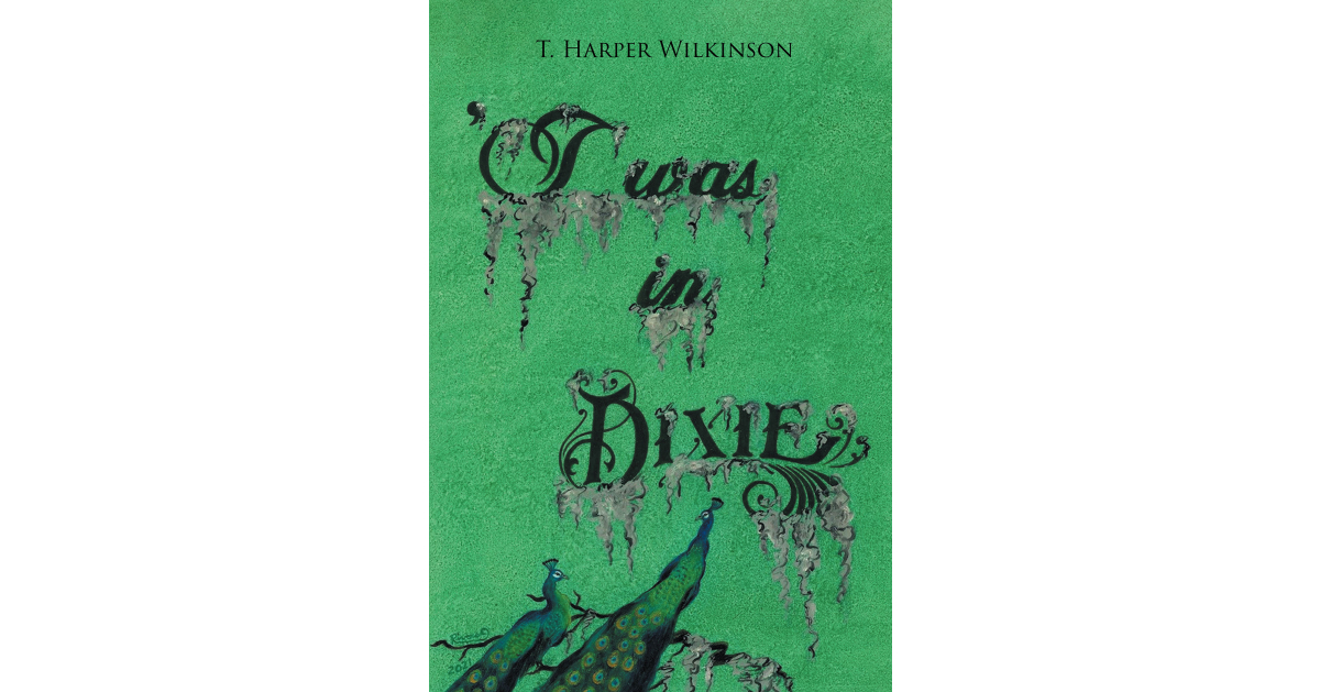 Author T. Harper Wilkinson’s new book, “‘T was in Dixie,” is a compelling historical fiction novel that takes place in the Old South during the Civil War