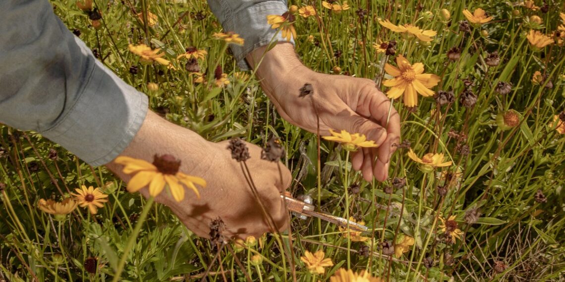 What Gardens of the Future Should Look Like