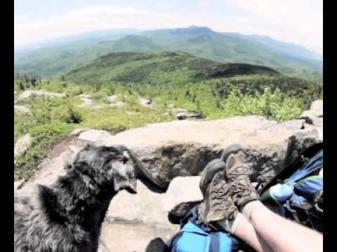 Book Trailers: Following Atticus by Tom Ryan Book Trailers: Following Atticus by Tom Ryan