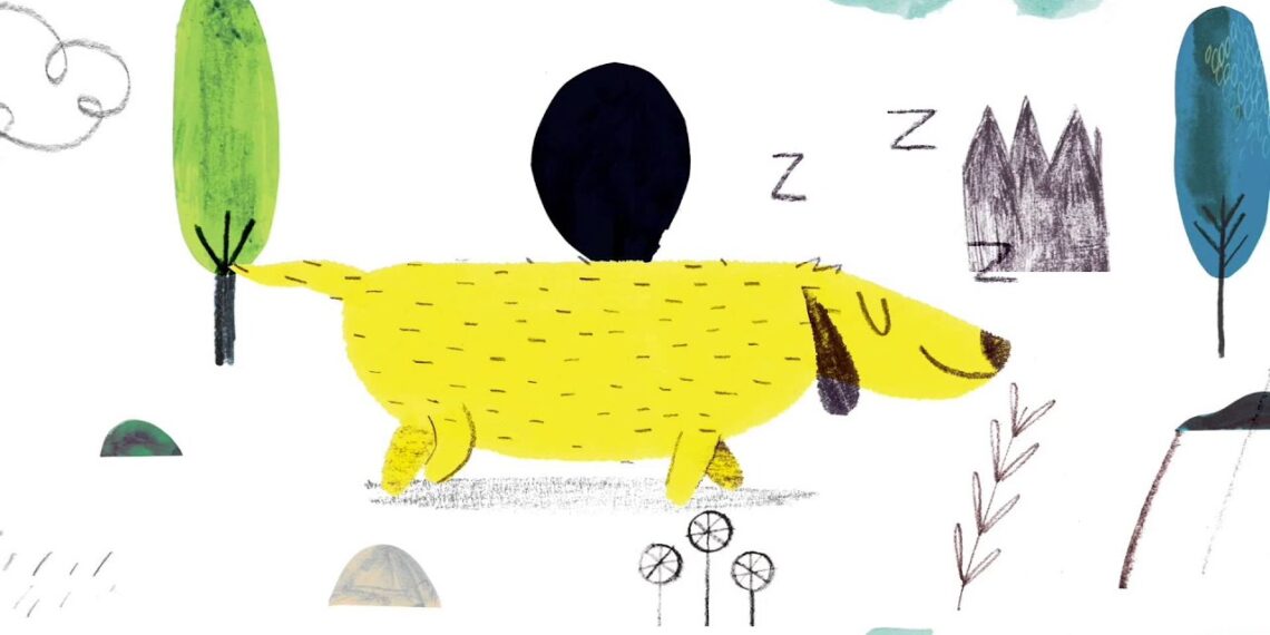 Lazy Dave by Jarvis | Official Picture Book Trailer