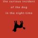 Curious Incident Dog Night-Time — Mark Haddon (Interview+Mp3 Link) Curious Incident Dog Night-Time — Mark Haddon (Interview+Mp3 Link)
