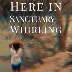 Amherst Bulletin – Book Bag: ‘Journeys of Voices & Choices’ by Ernie Brill; ‘Here in Sanctuary — Whirling’ by D. Dina Friedman Amherst Bulletin – Book Bag: ‘Journeys of Voices & Choices’ by Ernie Brill; ‘Here in Sanctuary — Whirling’ by D. Dina Friedman