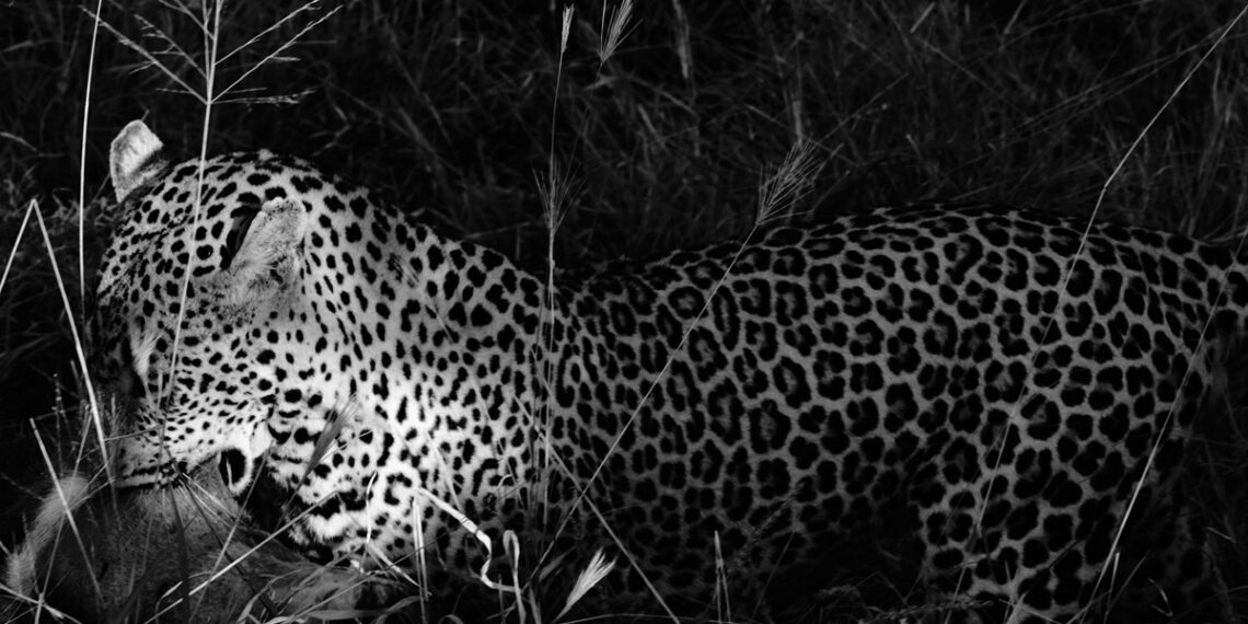 Daisy Walker’s New Photo Book Is a Love Letter to the Natural World