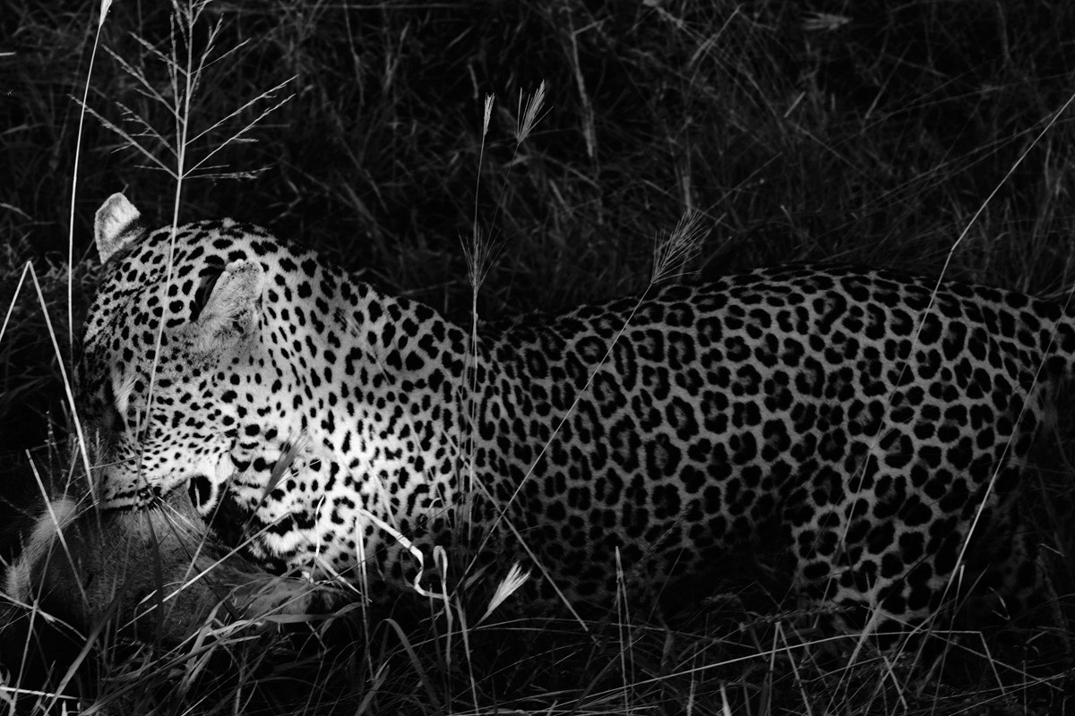 Daisy Walker’s New Photo Book Is a Love Letter to the Natural World Daisy Walker’s New Photo Book Is a Love Letter to the Natural World