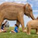 Great Elephant Migration events planned at Rough Point in August