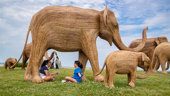 Great Elephant Migration events planned at Rough Point in August Great Elephant Migration events planned at Rough Point in August