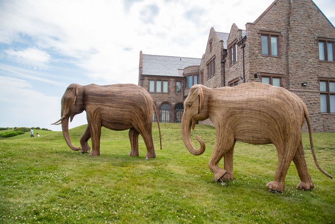 Guests view the Great Elephant Migration on the lawn at Rough Point on July 4, 2024.