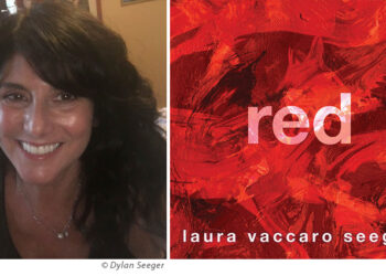 Q & A with Laura Vaccaro Seeger