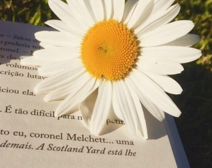 7 Fiction Books You Must Read In Your Lifetime