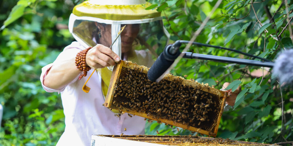 Ecologies of love: Writer Heather Swan on new book, ‘Where the Grass Still Sings’