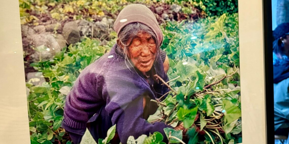 New book, exhibit reframe narratives of Cordillera women