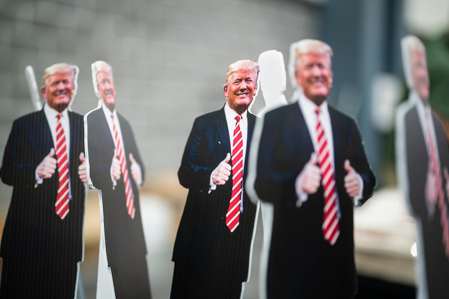 Where are all the Trump novels? Where are all the Trump novels?