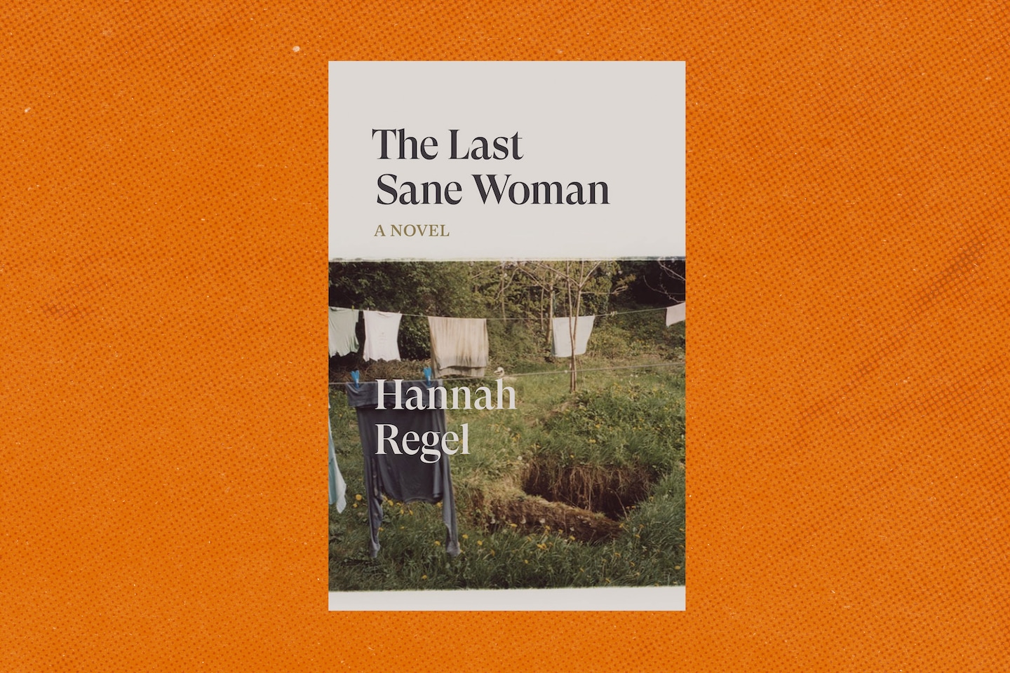 ‘The Last Sane Woman’ by Hannah Regel book review