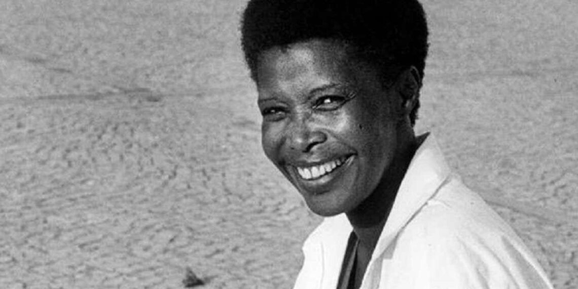 Two books to write and the universe to decipher – 2024’s gonna be busy