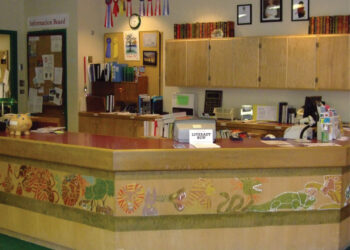 How This Small Town Library is Personalizing Experiences