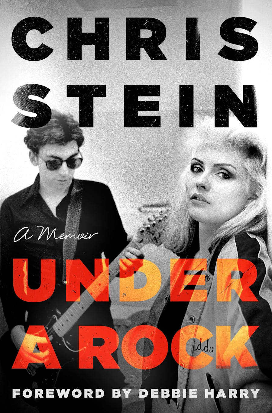 A book cover featuring two rock and rollers