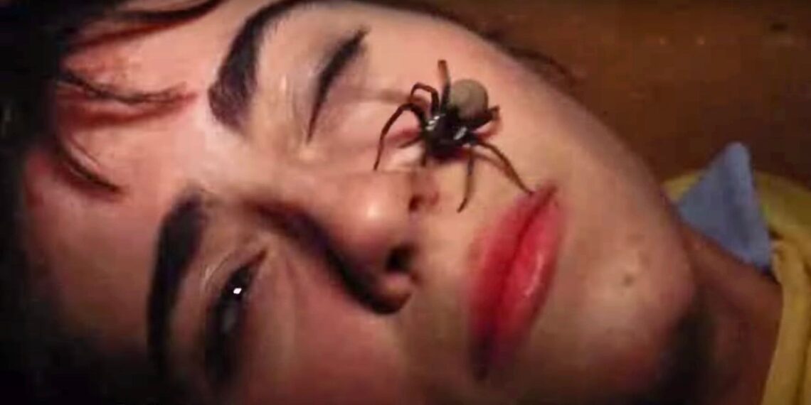 New V/H/S Anthology Release Date & Directors Revealed, Including Mike Flanagan Collaborator’s Directorial Debut