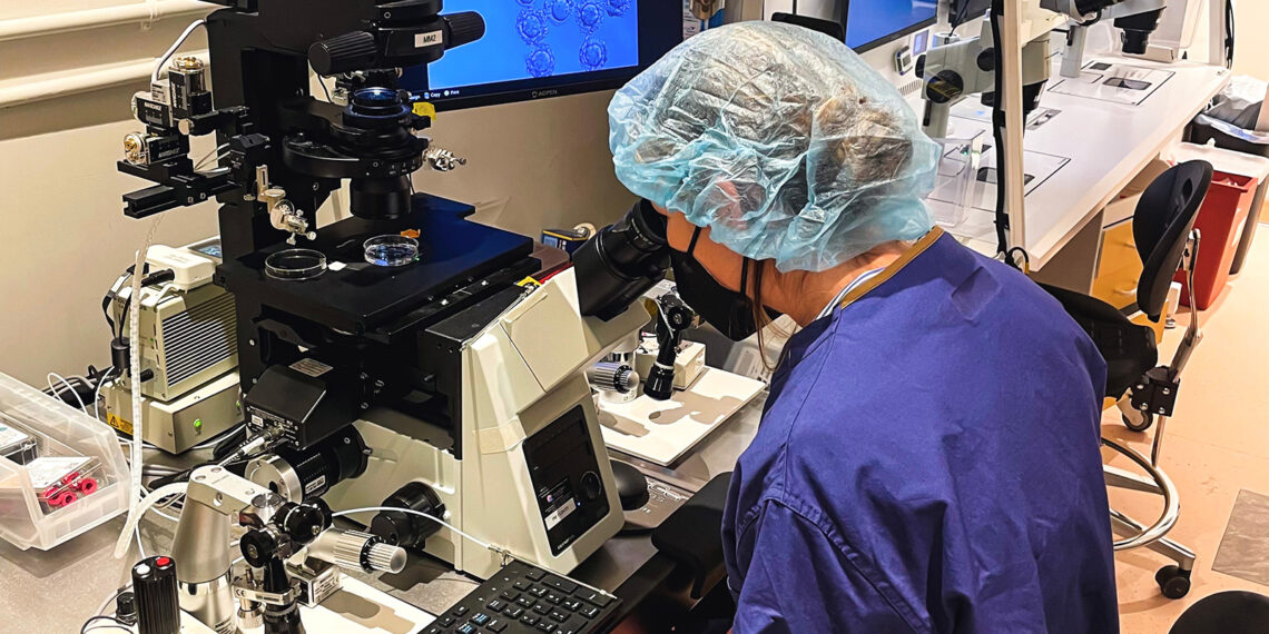 Boulder Author Natalie Lampert Explores Egg Freezing in Her New Book