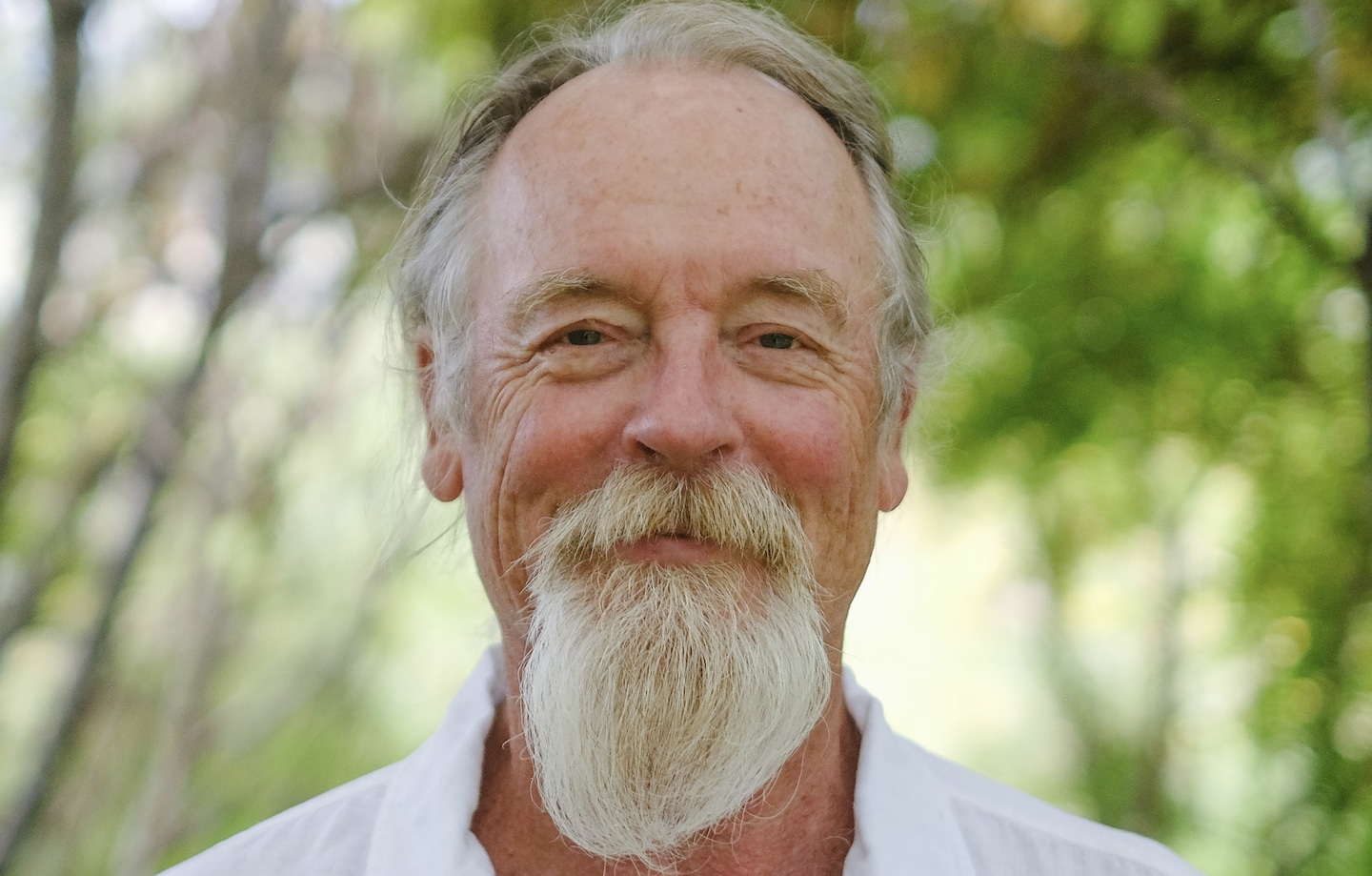 The novel ‘Beep,’ by Bill Roorbach is a psychedelic experience