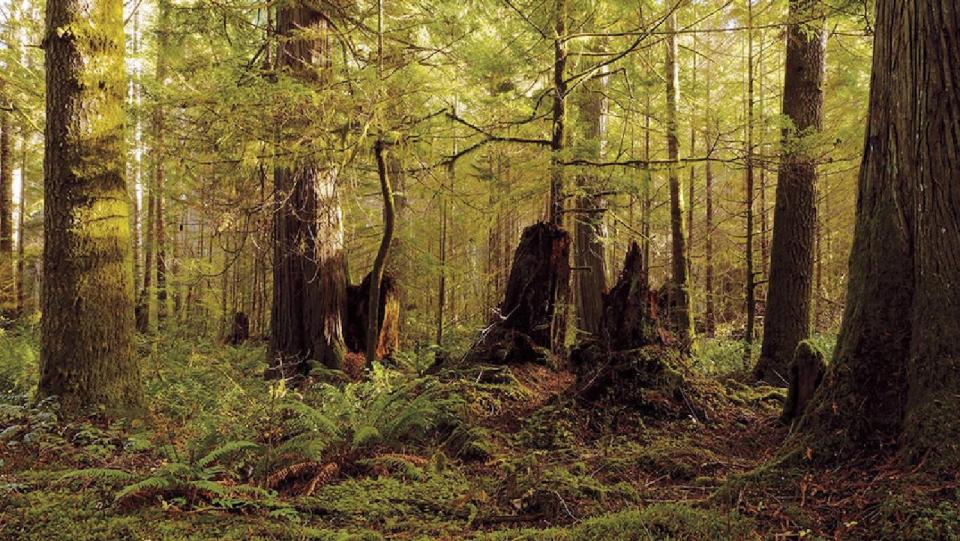 The Inner Island Nature Reserve on Denman Island.