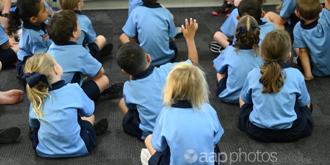 Swingers picture book is meant for adults, not kids – Australian Associated Press