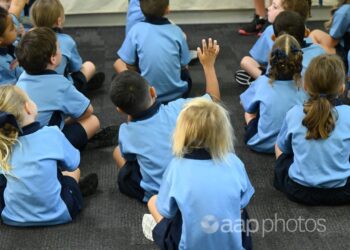 Swingers picture book is meant for adults, not kids – Australian Associated Press