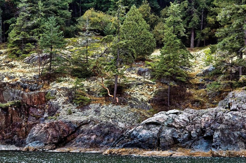 The coastal bluff ecosystem at Cape Roger Curtis is pictured. It's one of the many ecosystems conservationists have worked to protect over the past 30 years.