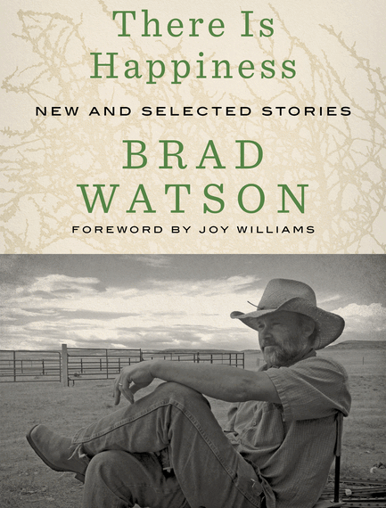New and Selected Stories by Brad Watson Book Marks