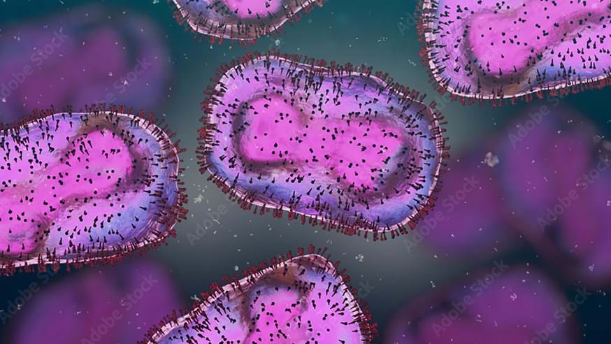 Lancaster Researchers Make Key Contributions to Poxviruses Book – India Education | Latest Education News | Global Educational News Lancaster Researchers Make Key Contributions to Poxviruses Book – India Education | Latest Education News | Global Educational News