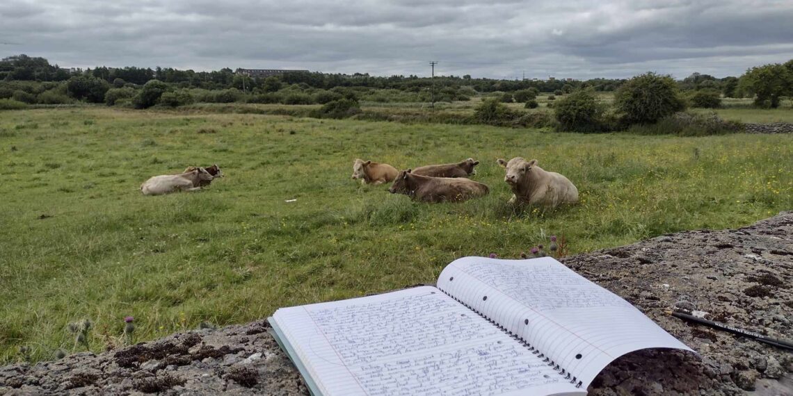 Best in Rural Writing contest 2024 opens for submissions