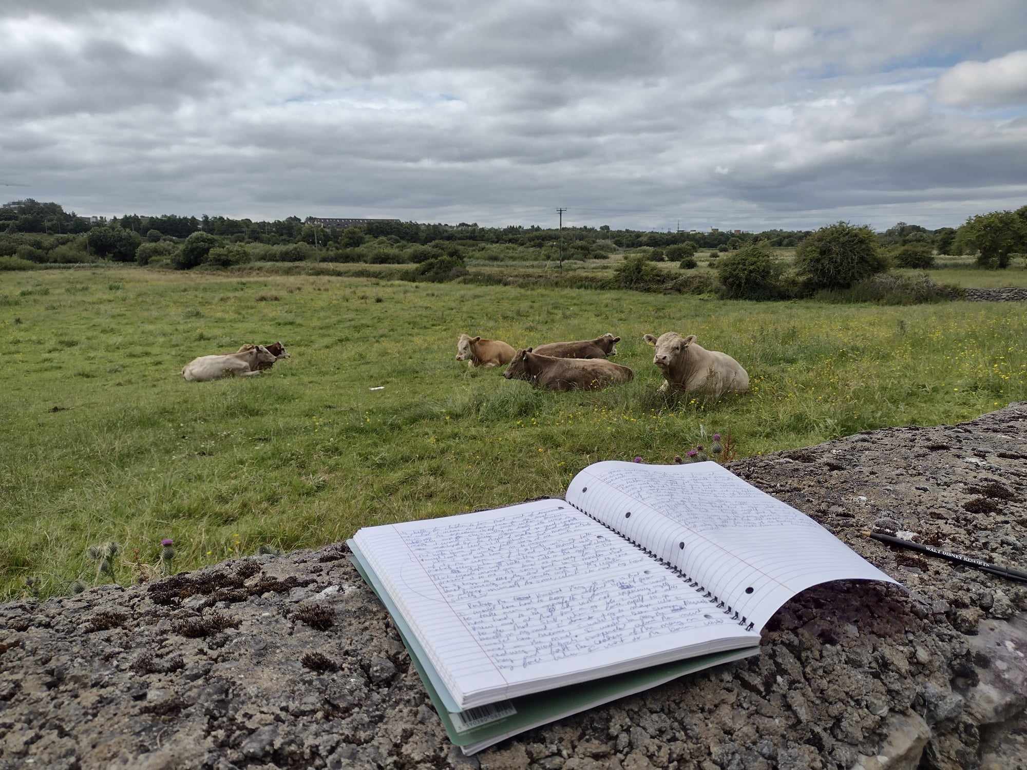 Best in Rural Writing contest 2024 opens for submissions Best in Rural Writing contest 2024 opens for submissions