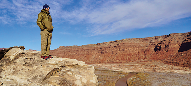 Native plants dominate the new banks of the San Juan River after decades underwater. - ZAK PODMORE
