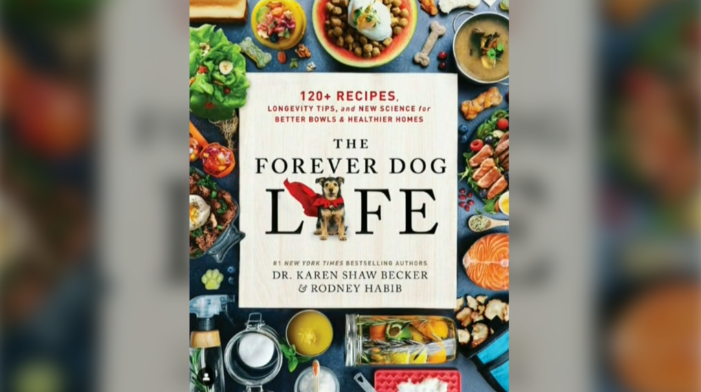 Maritimes author write book for having a healthy dog