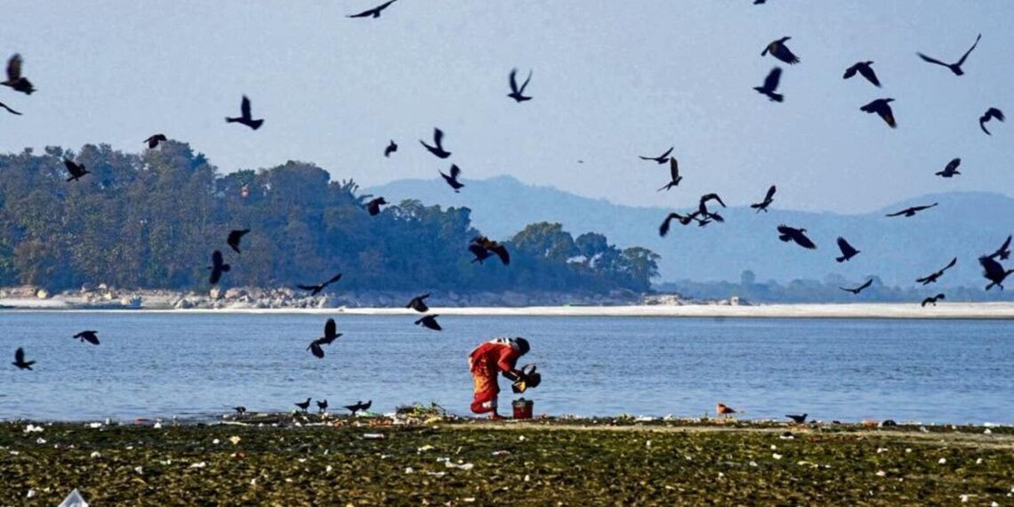 In Uddipana Goswami’s new book, women are survivors