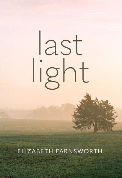 Book cover of tree and field in mist