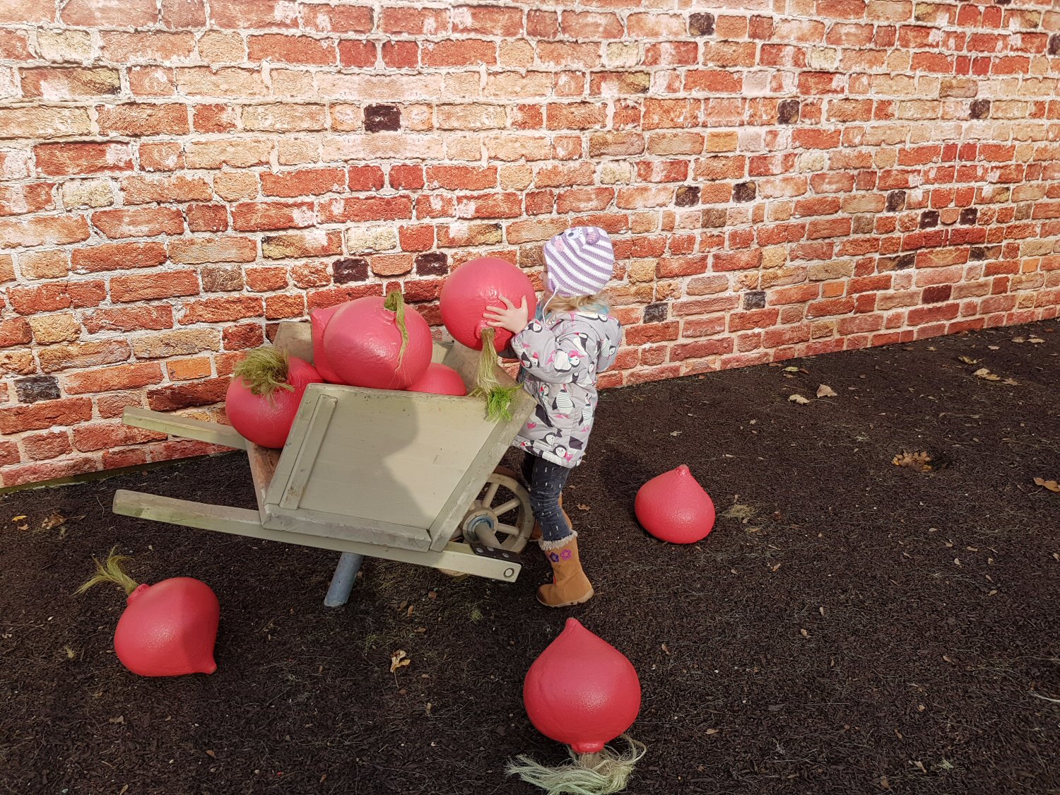 My daughter loads giant radishes into a wheelbarrow in Peter Rabbit's adventure playground
