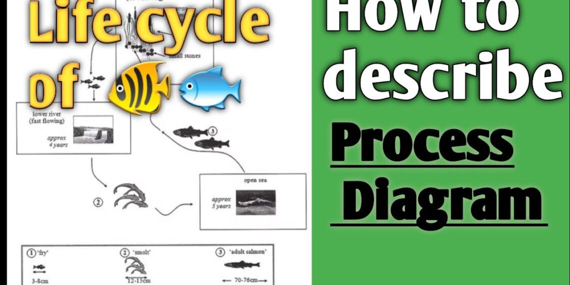 Academic Writing task1 Process Diagram writing | tips for 8+ #ieltswriting task1 Cambridge 10 test4 Academic Writing task1 Process Diagram writing | tips for 8+ #ieltswriting task1 Cambridge 10 test4