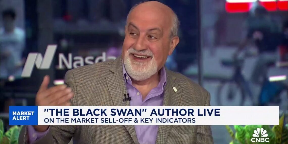 ‘The Black Swan’ author Nassim Taleb on bitcoin: Not a hedge against your assets melting