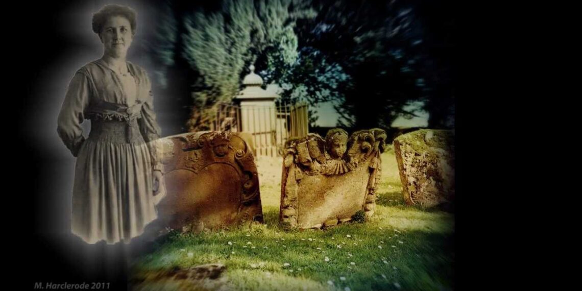 Dying to Meet You Book Trailer