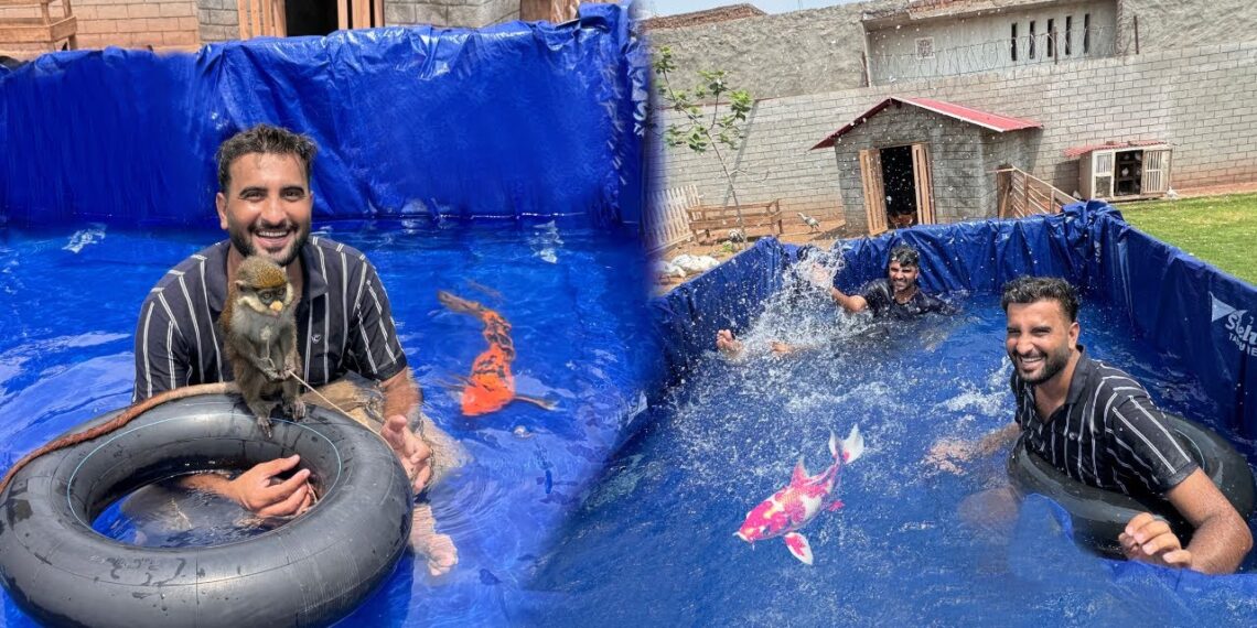 Mini Zoo Main Swimming Pool Bna Diya😍Bht Mza Aya